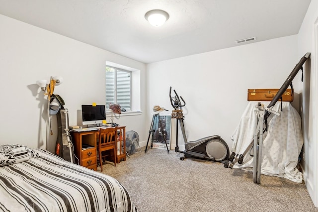 bedroom featuring carpet floors