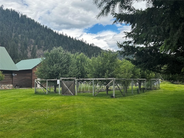 view of yard featuring a mountain view