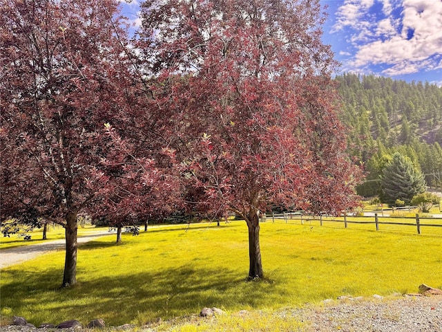 view of home's community featuring a rural view and a yard