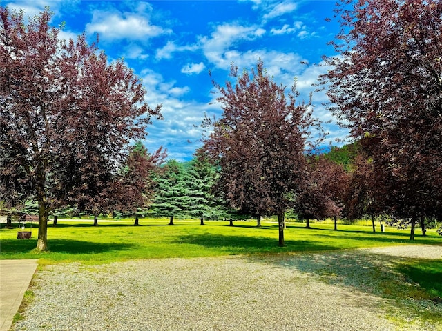 view of home's community featuring a lawn