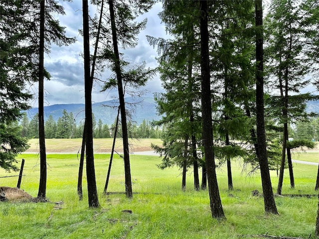 NHN Old Barn Ln, Thompson Falls MT, 59873 land for sale