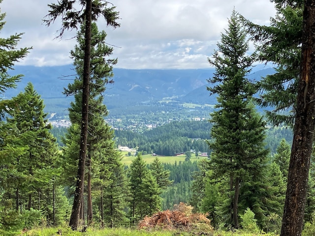 LOT10 Panoramic View Dr, Libby MT, 59923 land for sale