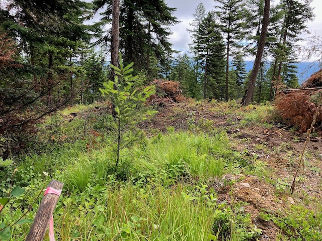LOT10 Panoramic View Dr, Libby, MT 59923