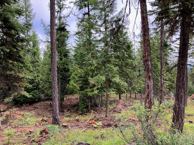 LOT10 Panoramic View Dr, Libby, MT 59923