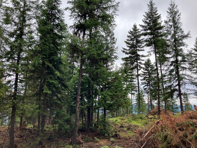LOT10 Panoramic View Dr, Libby, MT 59923