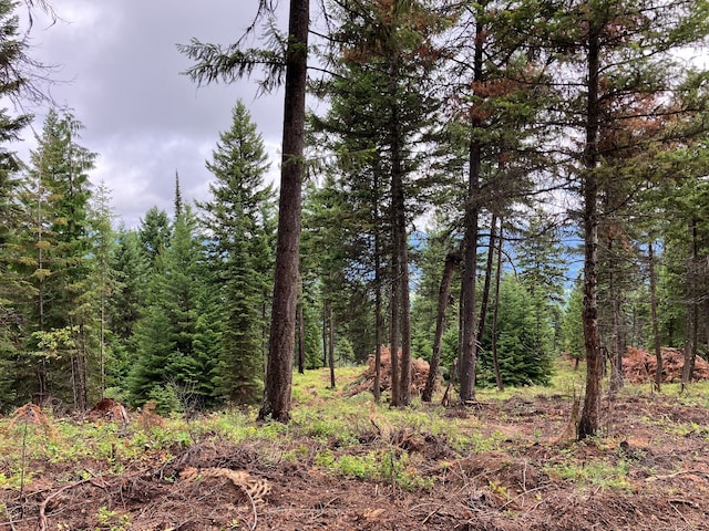 Listing photo 2 for LOT10 Panoramic View Dr, Libby MT 59923