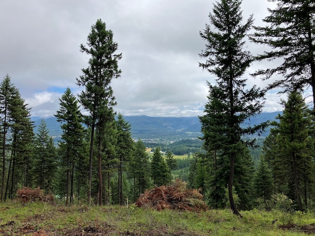 LOT10 Panoramic View Dr, Libby, MT 59923