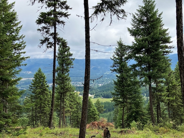 LOT10 Panoramic View Dr, Libby, MT 59923