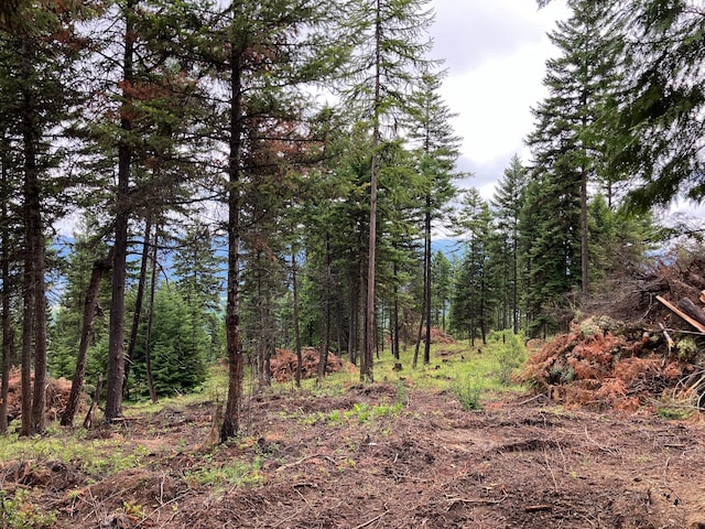 Listing photo 3 for LOT10 Panoramic View Dr, Libby MT 59923