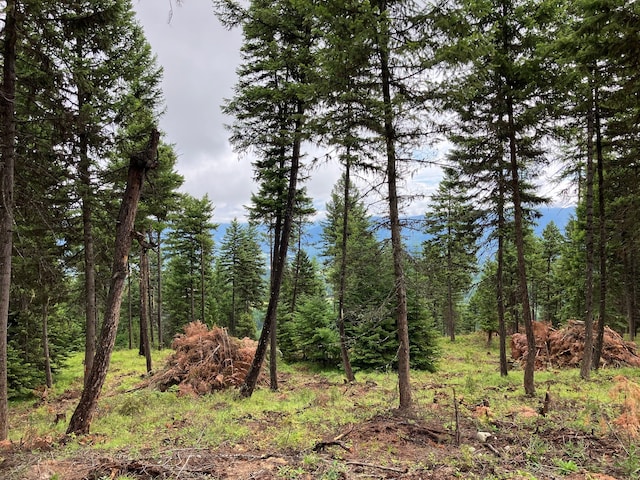 LOT10 Panoramic View Dr, Libby, MT 59923
