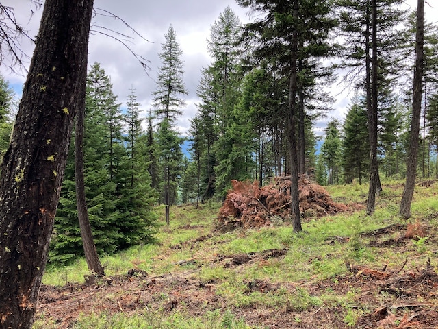 LOT10 Panoramic View Dr, Libby, MT 59923