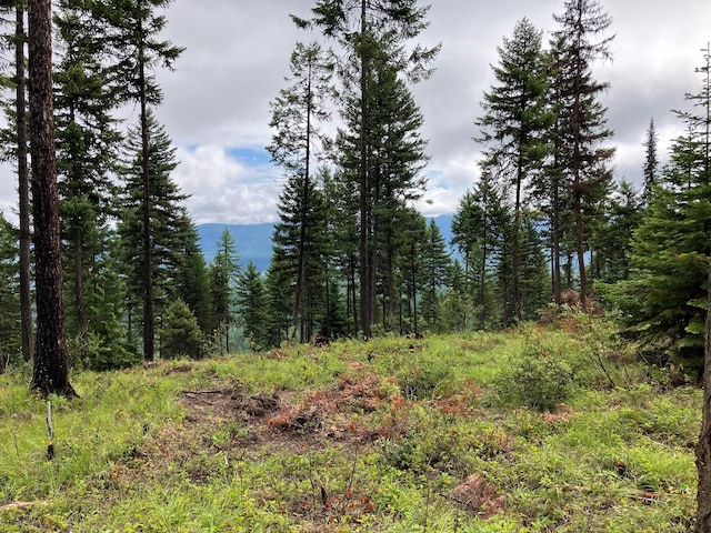 LOT10 Panoramic View Dr, Libby, MT 59923
