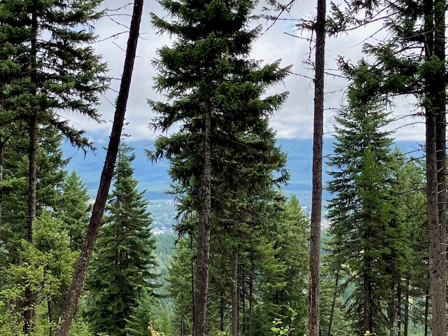 LOT10 Panoramic View Dr, Libby, MT 59923