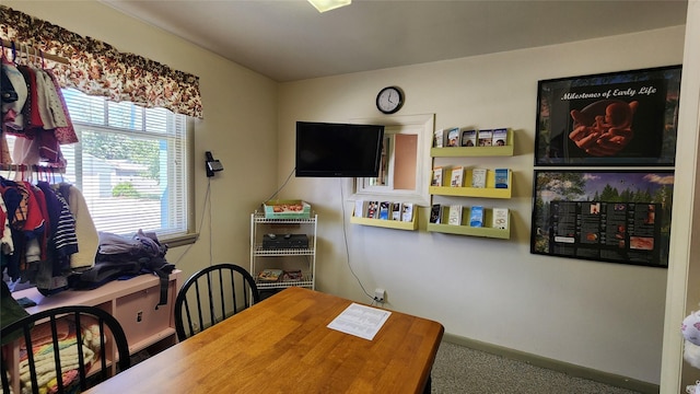 interior space with carpet