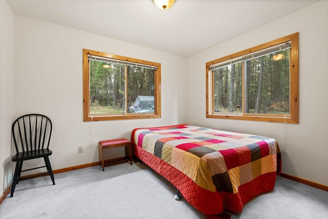 112 Glen View Dr, Eureka, MT 59917 - carpeted bedroom featuring baseboards and multiple windows