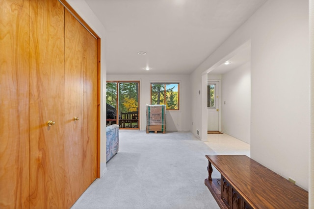112 Glen View Dr, Eureka, MT 59917 - corridor featuring light carpet