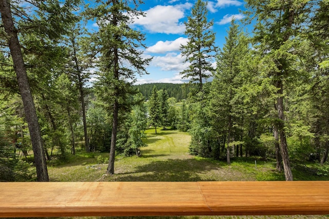 112 Glen View Dr, Eureka, MT 59917 - view of yard with a view of trees