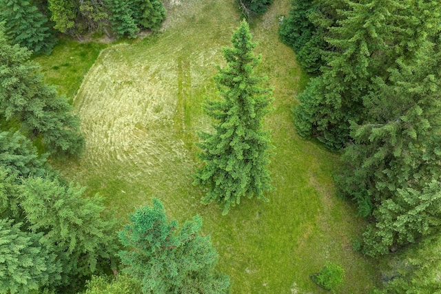 112 Glen View Dr, Eureka, MT 59917 - drone / aerial view