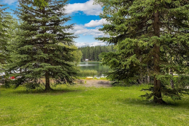 112 Glen View Dr, Eureka, MT 59917 - view of yard with a water view and a forest view
