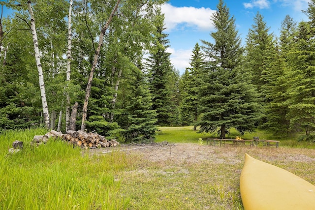 112 Glen View Dr, Eureka, MT 59917 - view of yard with a view of trees