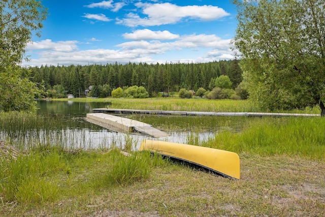 112 Glen View Dr, Eureka, MT 59917 - dock area with a water view and a forest view