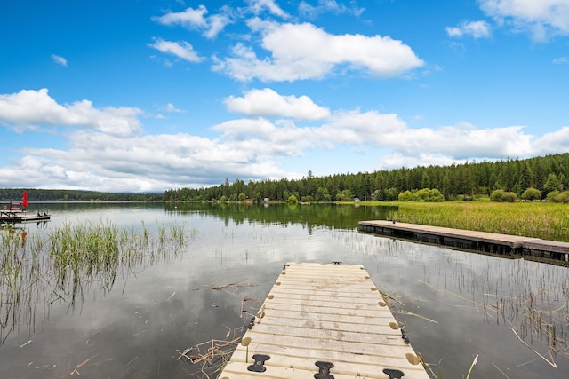 112 Glen View Dr, Eureka, MT 59917 - view of dock featuring a water view and a wooded view