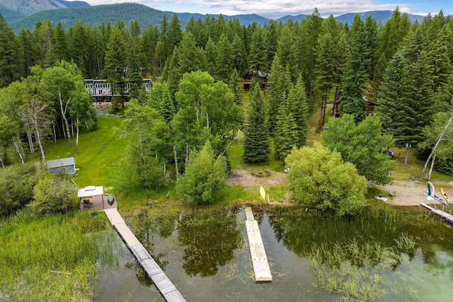112 Glen View Dr, Eureka, MT 59917 - bird's eye view featuring a mountain view and a view of trees