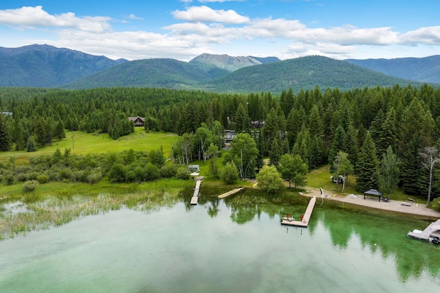 112 Glen View Dr, Eureka, MT 59917 - aerial view featuring a wooded view and a water and mountain view