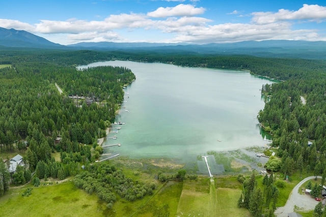 112 Glen View Dr, Eureka, MT 59917 - bird's eye view with a forest view and a water and mountain view