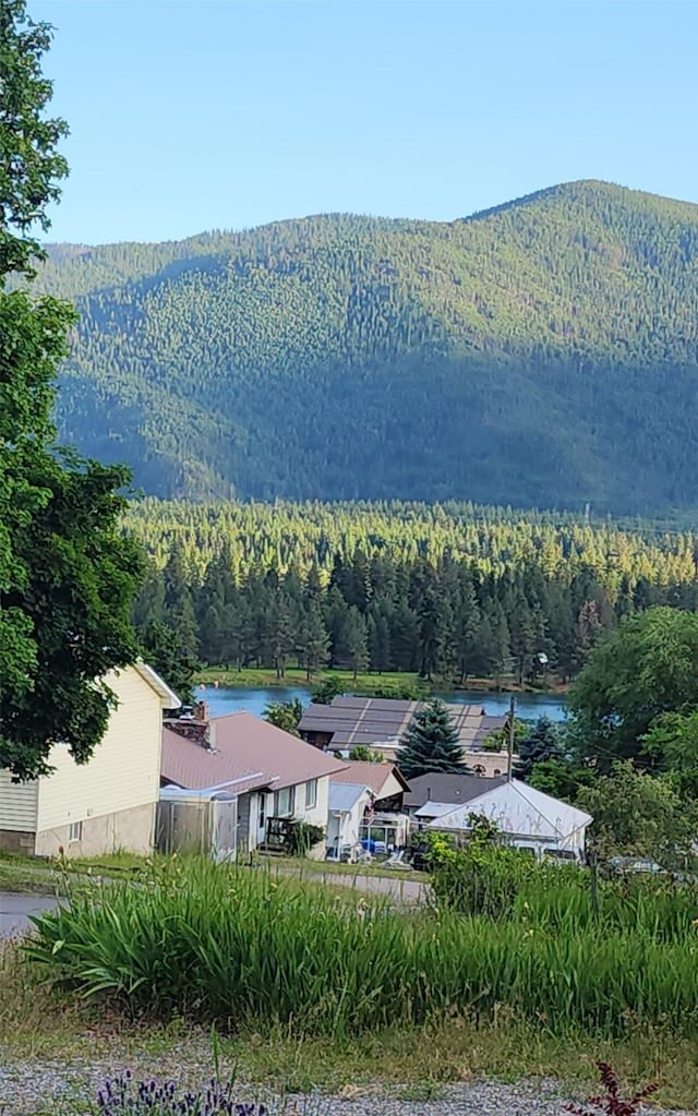 213 Washington St, Thompson Falls, MT 59873 - view of mountain feature featuring a forest view and a water view