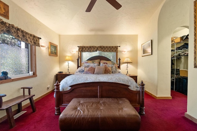 carpeted bedroom featuring ceiling fan, a walk in closet, and a closet