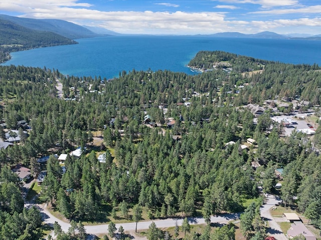 birds eye view of property featuring a water and mountain view