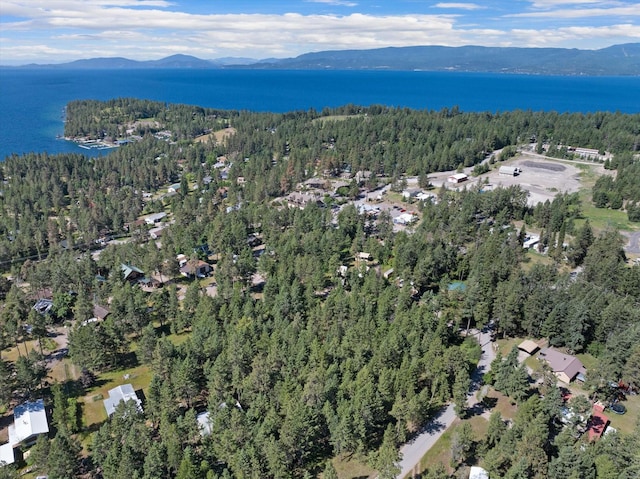 birds eye view of property with a water and mountain view