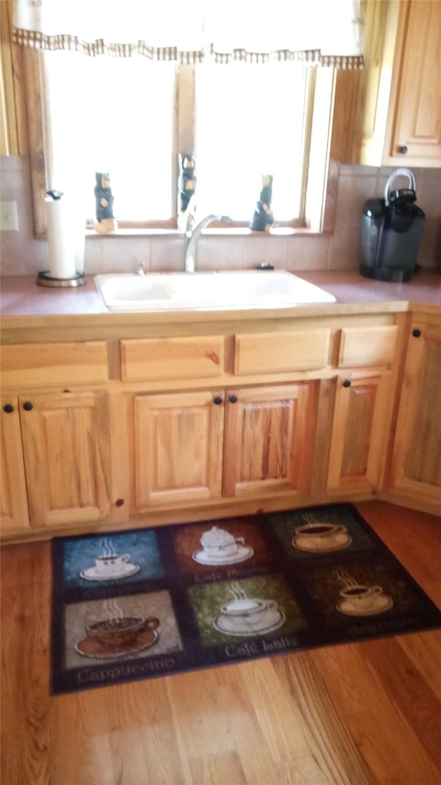 kitchen with sink and hardwood / wood-style flooring