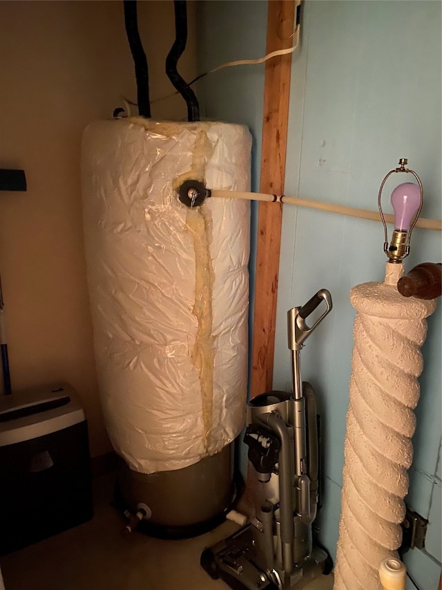 utility room featuring gas water heater