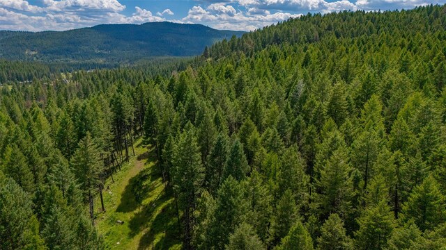 685 Mountain Meadow Rd, Kalispell, MT 59901