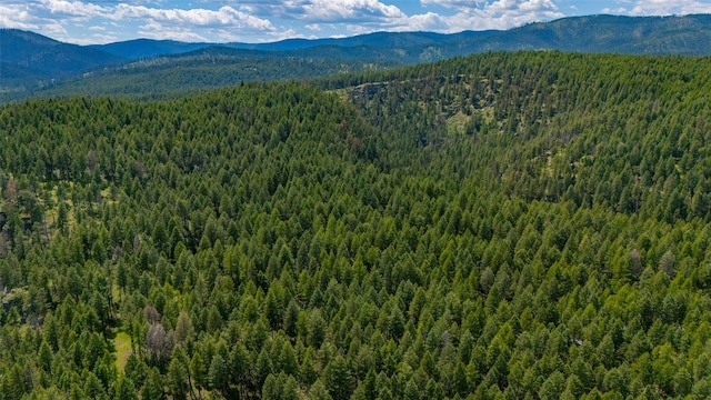 685 Mountain Meadow Rd, Kalispell, MT 59901