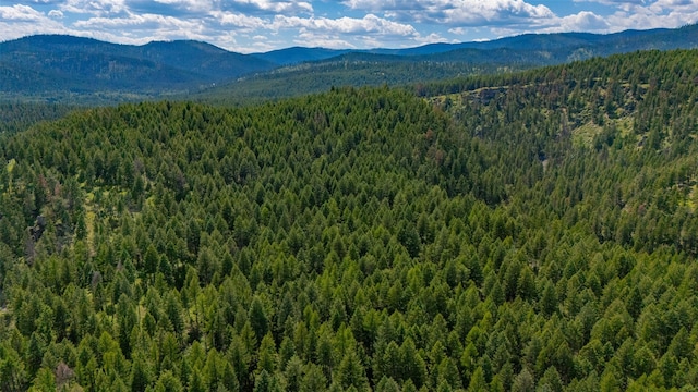 685 Mountain Meadow Rd, Kalispell, MT 59901