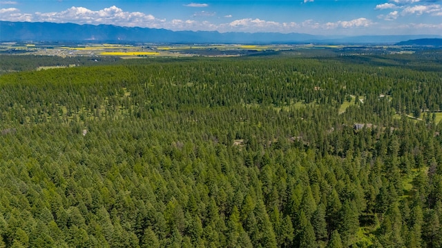 685 Mountain Meadow Rd, Kalispell, MT 59901