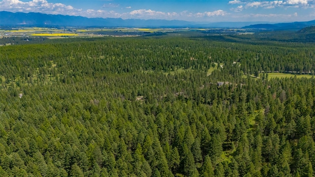 685 Mountain Meadow Rd, Kalispell, MT 59901