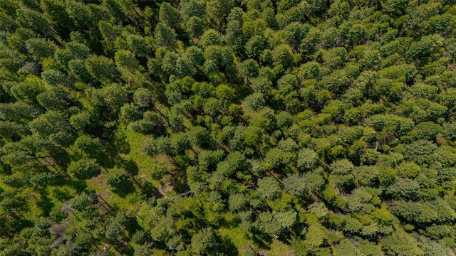 685 Mountain Meadow Rd, Kalispell, MT 59901