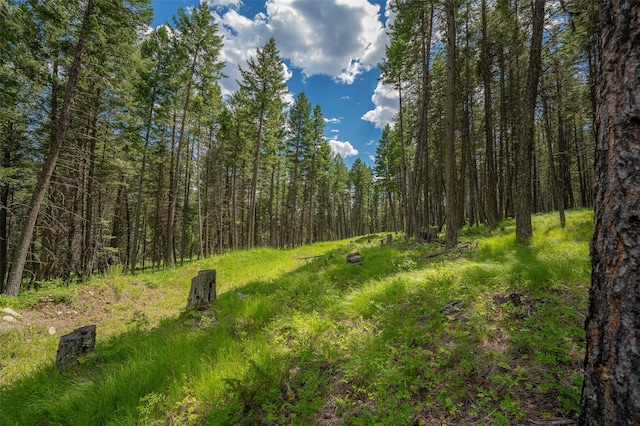 685 Mountain Meadow Rd, Kalispell, MT 59901
