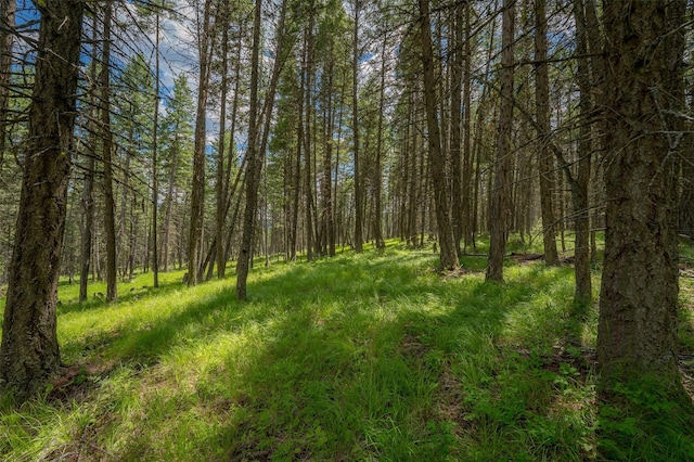 685 Mountain Meadow Rd, Kalispell, MT 59901