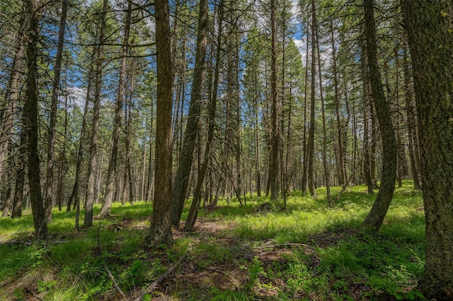 685 Mountain Meadow Rd, Kalispell, MT 59901