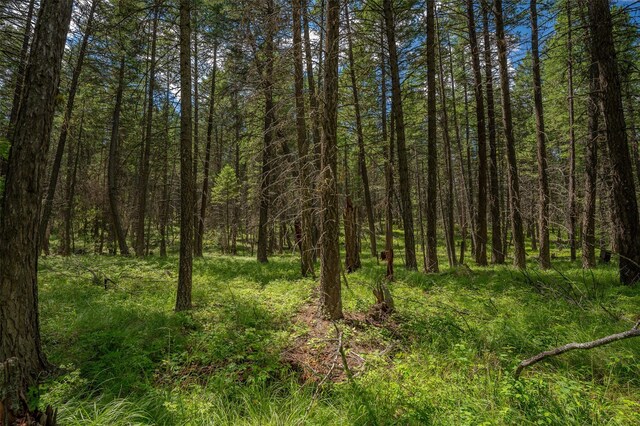 685 Mountain Meadow Rd, Kalispell, MT 59901