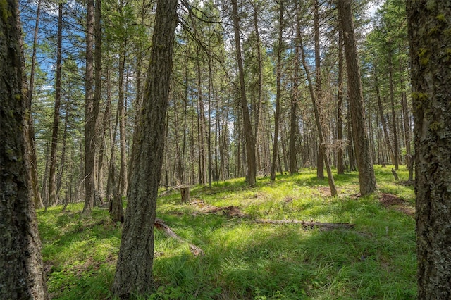 685 Mountain Meadow Rd, Kalispell, MT 59901