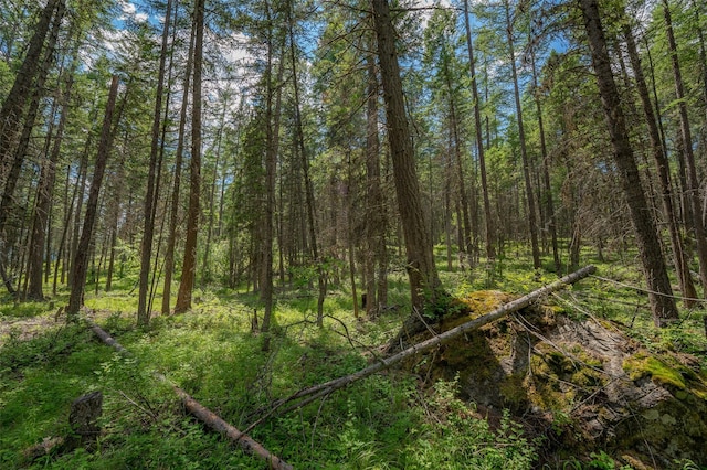685 Mountain Meadow Rd, Kalispell, MT 59901