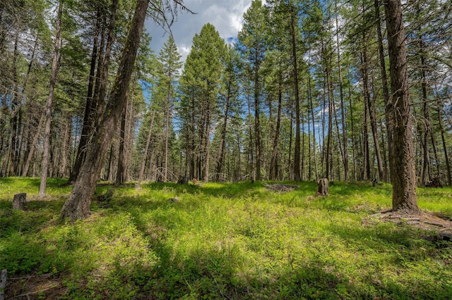685 Mountain Meadow Rd, Kalispell, MT 59901
