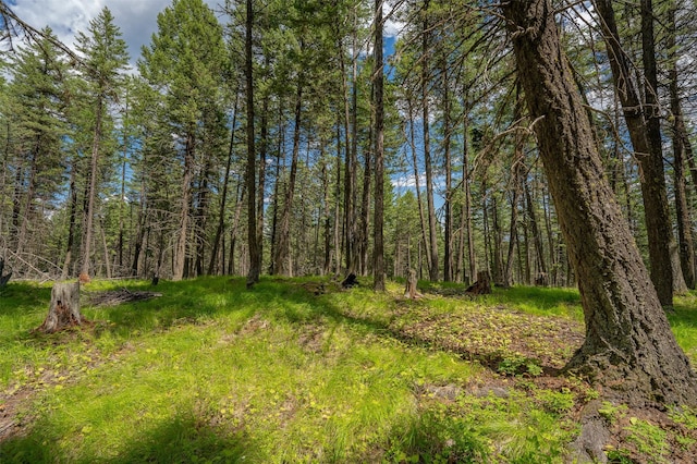 685 Mountain Meadow Rd, Kalispell, MT 59901