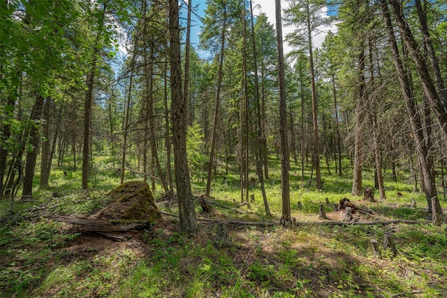 685 Mountain Meadow Rd, Kalispell, MT 59901